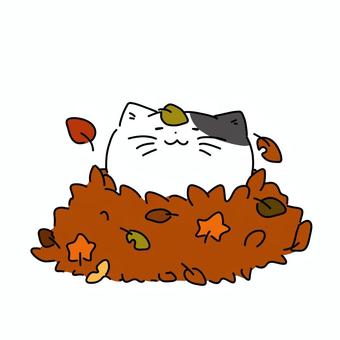 落ち葉に埋もれる猫