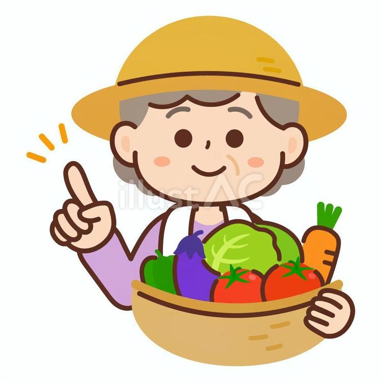 指さしをする農家の高齢女性＿野菜 農家,指さし,案内のイラスト素材