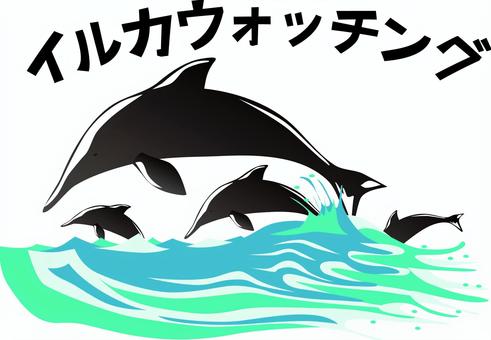 イルカウォッチング　 イルカウォッチング,沢山,泳ぐ,野生,ジャンプ,海,水面,観光,カタカナのイラスト素材