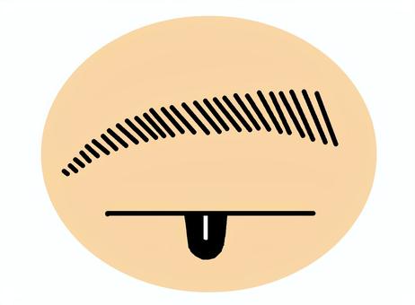 眉毛 眉毛,体毛,保護機能,表情機能,弓状,イラストのイラスト素材