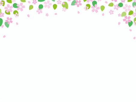 桜の花と花びら、春のイラスト素材 桜の花と花びら、春のイラスト素材 桜,春,背景,フレーム,見出し,花,さくら,枠,飾り枠,卒業のイラスト素材