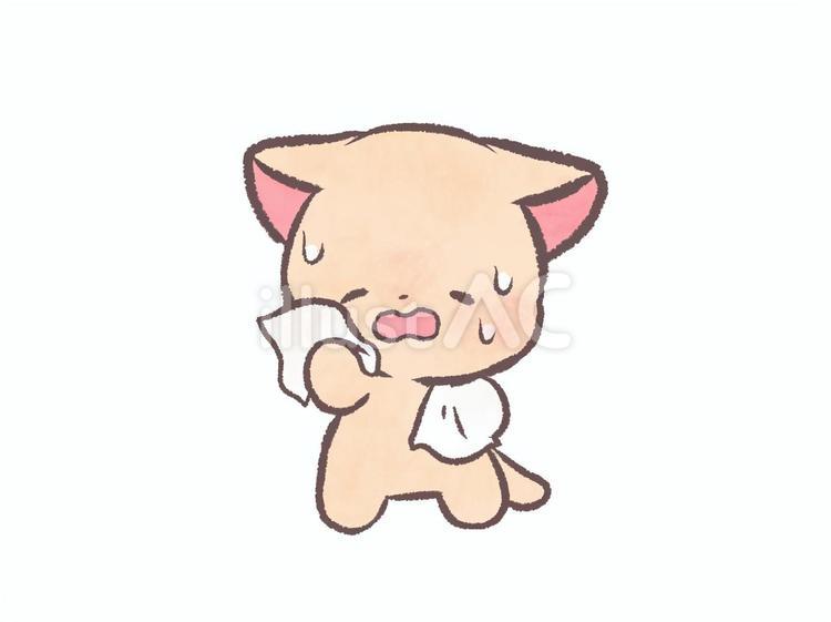 汗を拭くねこ ねこ,動物,汗のイラスト素材