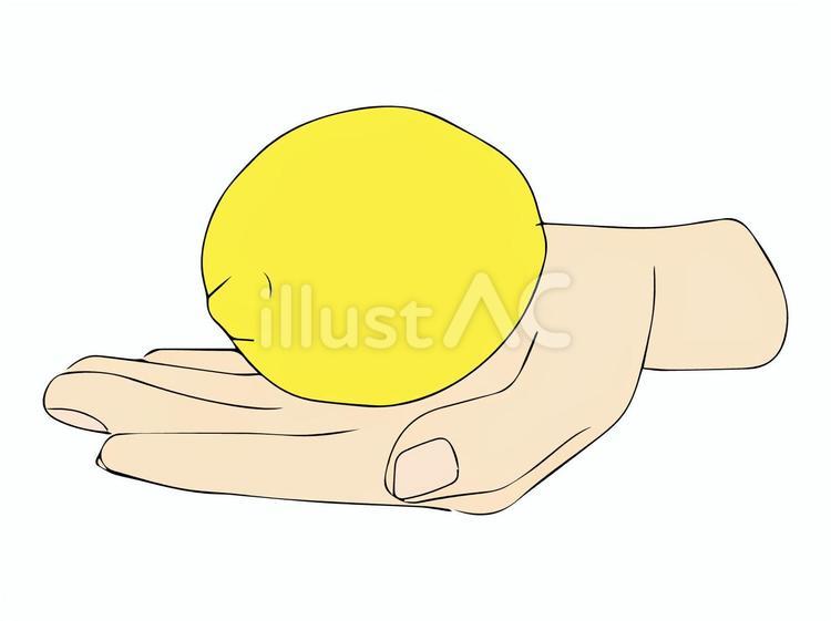 手の平に乗せたレモン 手の平,レモン,果物のイラスト素材