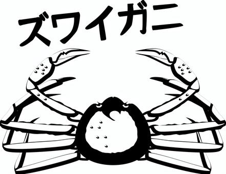 ズワイガニ　　 ズワイガニ,蟹,甲殻類,海の幸,高級,漁業,カタカナ,白黒のイラスト素材