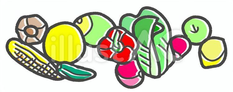 野菜横 野菜,果物,パプリカのイラスト素材