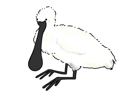 クロツラヘラサギ 可愛い クロツラヘラサギ 可愛い クロツラヘラサギ,鳥,サギ,可愛い,生き物,シンプル,おしゃれ,手書きのイラスト素材