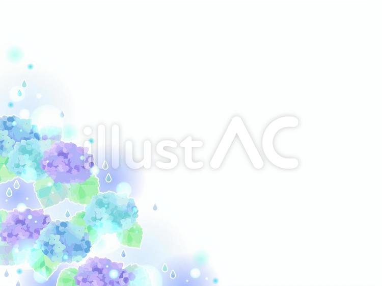 あじさいとあめの背景 アジサイ,花,雨のイラスト素材