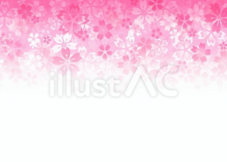 さくらフレーム 桜,花,植物のイラスト素材