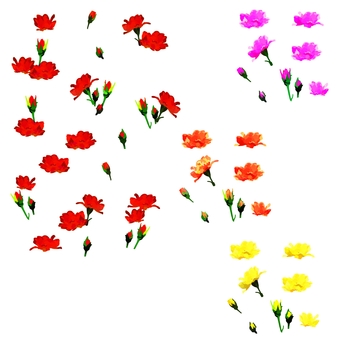 Illustration, rose, poor, beautiful, 