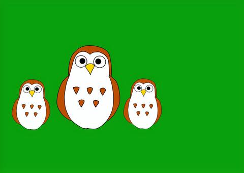 フクロウ フクロウ,梟,親子,猛禽類,鳥のイラスト素材
