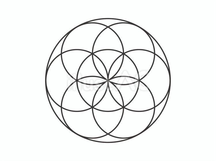 シードオブライフ（細）03 シードオブライフ,幾何学模様,模様のイラスト素材