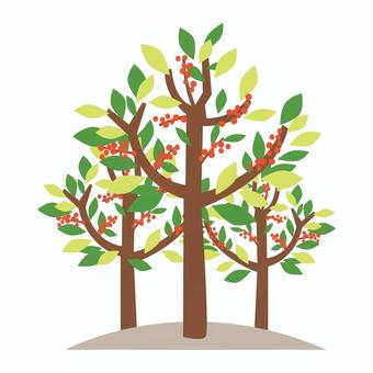 木 木,植物,樹木,林,春,緑,グリーン,果実,実りのイラスト素材
