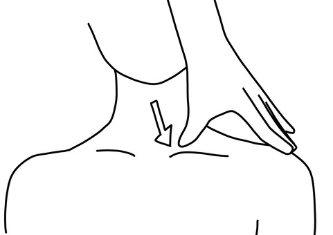 Illustration, pijet, lymph, clavicle, 