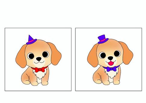 【間違い探し】蝶ネクタイの犬 間違い探し,療育,保育,プリント,言語聴覚療法,作業療法,認知,犬,蝶ネクタイ,帽子のイラスト素材