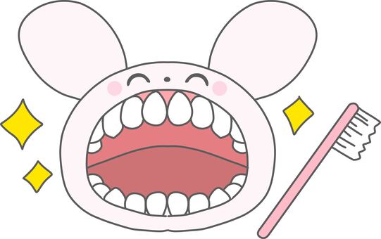 歯がぴかぴかなうさぎのはみがきのイラスト 歯がぴかぴかなうさぎのはみがきのイラスト いい歯の日,歯磨き,うさぎ,歯ブラシ,かわいい,動物,ぴかぴか,歯,虫歯,歯科のイラスト素材
