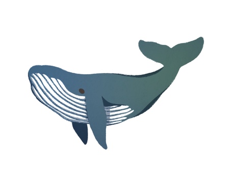 くじら1 くじら,手描き風,シンプル,かわいい,動物のイラスト素材