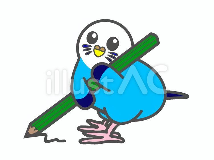セキセイインコ　えんぴつ セキセイインコ,鳥,動物のイラスト素材