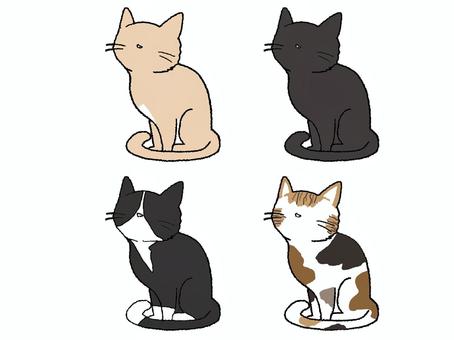 眺める猫 猫,眺める,見る,しっぽ,可愛い,セット,pop調,手描き,挿絵,ワンポイントのイラスト素材