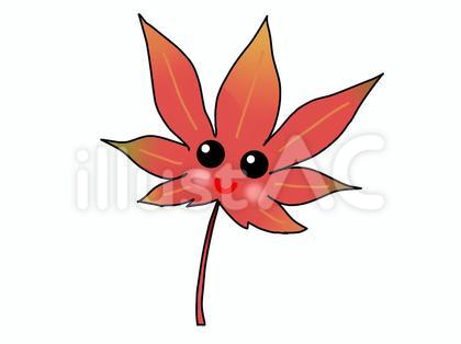 紅葉君