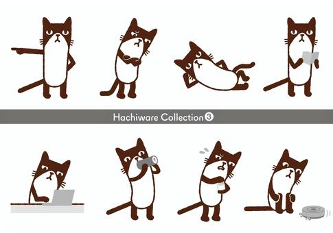 Illustration, kucing, hachi ware, loose, 