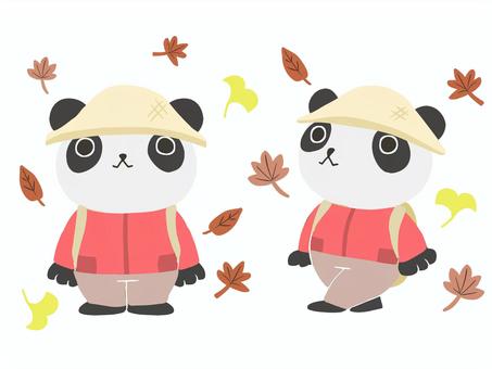 紅葉狩りをするパンダの全身イラスト パンダ,全身,紅葉,秋,イチョウ,落ち葉,かわいい,動物,カラー,キャンプのイラスト素材