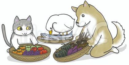 おいしそうな秋の味覚