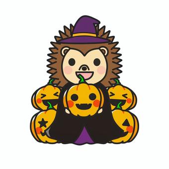 ハロウィンかぼちゃに囲まれたハリネズミ ハロウィン,コスプレ,ハリネズミ,マント,帽子,ジャックオランタン,橙,オレンジ,10月,行事のイラスト素材