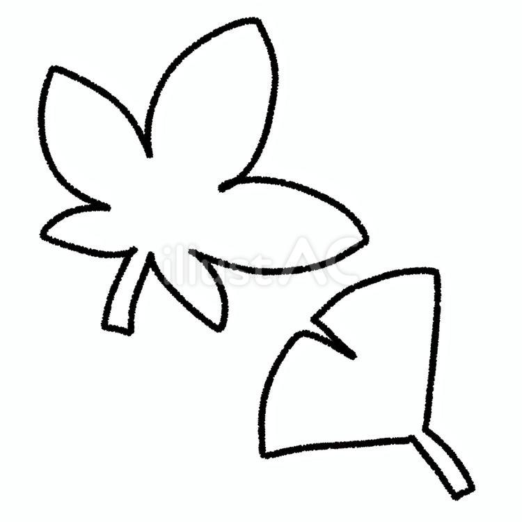 fall leaves 落ち葉,紅葉,もみじのイラスト素材