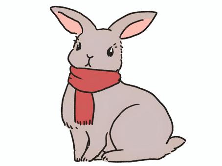 マフラーを巻いて座るうさぎ うさぎ,動物,小動物,マフラー,防寒,冬,座っているのイラスト素材