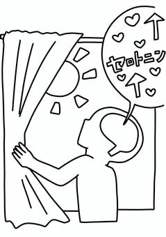 삽화, 커튼, 태양, 세로토닌, 