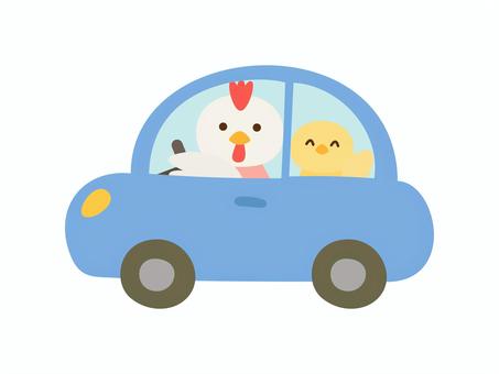 くるま_にわとりひよこ_普通車 車,動物,にわとり,ひよこ,運転,乗用車,普通車,軽自動車,自動車,乗り物のイラスト素材