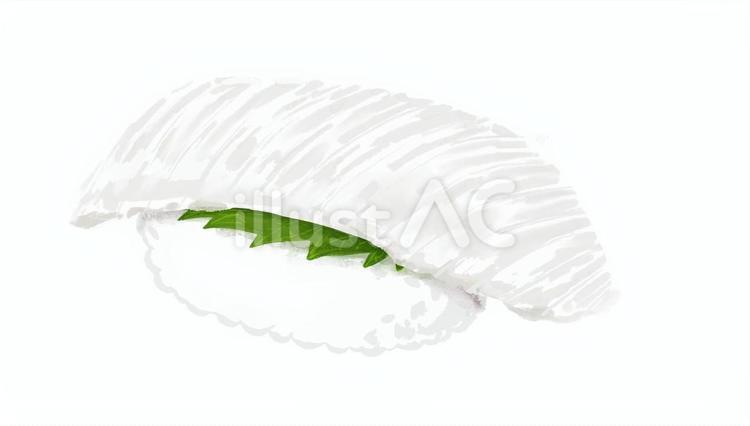 お寿司　えんがわ 和食,日本,寿司のイラスト素材