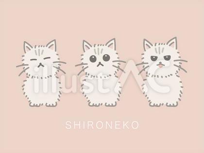 かわいい白猫表情3種類セット
