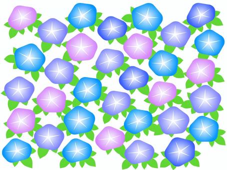 アサガオの花背景 アサガオの花背景 アサガオ,花,植物,風物詩,夏,背景,葉,ランダム,紫,かわいいのイラスト素材