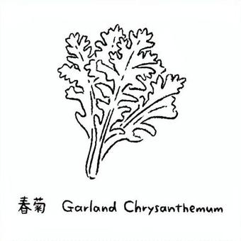 手描きの春菊2_名称入_白黒 春菊,菊菜,野菜,アイコン,食べ物,シンプル,食材,健康,イラスト,料理のイラスト素材