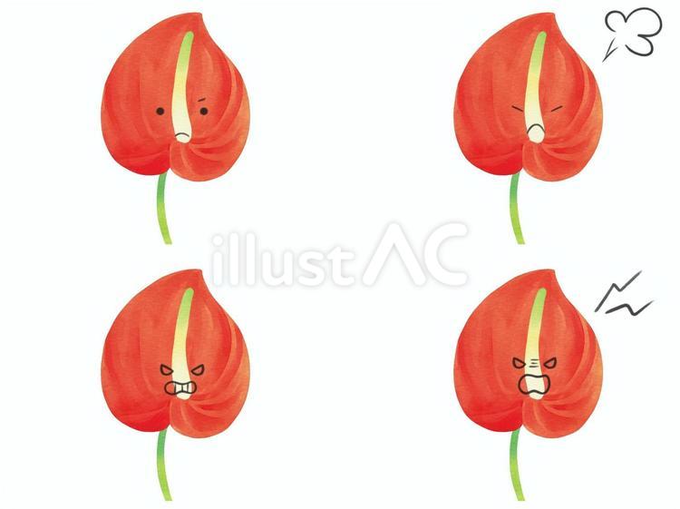 花のキャラの表情セット　怒　アンスリウム アンスリウム,花,キャラクターのイラスト素材