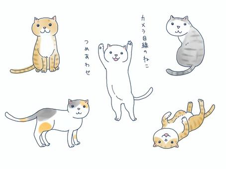 振り返るポーズイラスト 無料イラストなら イラストac 振り返るポーズイラスト 無料イラストなら イラストac