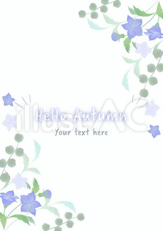淡い桔梗の背景4 秋,オータム,ボタニカルのイラスト素材