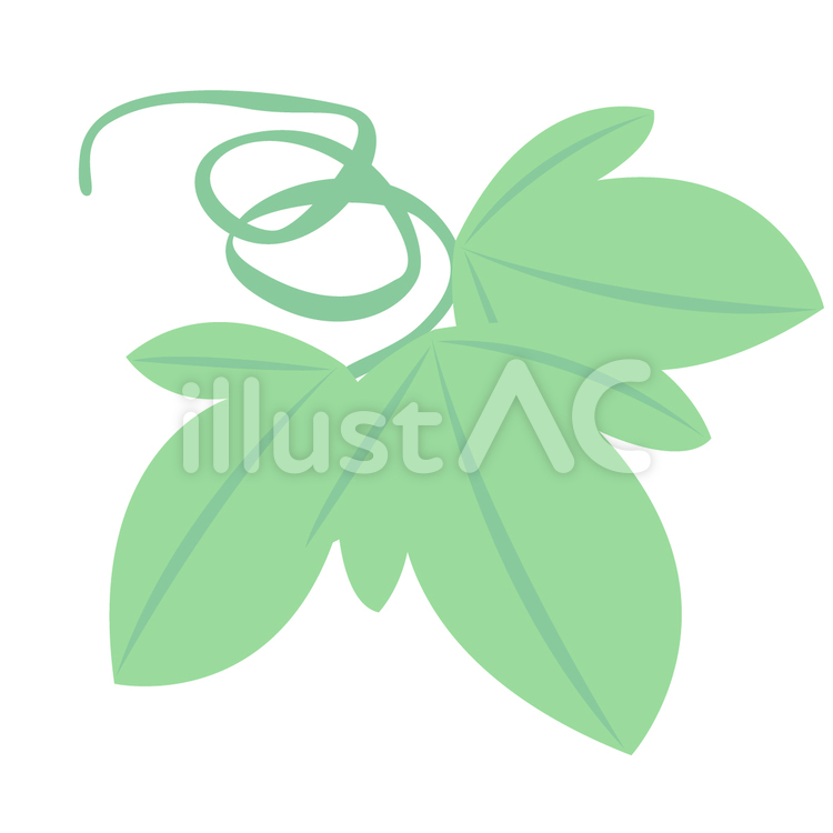 ツタと葉 葉,植物,アイビーのイラスト素材