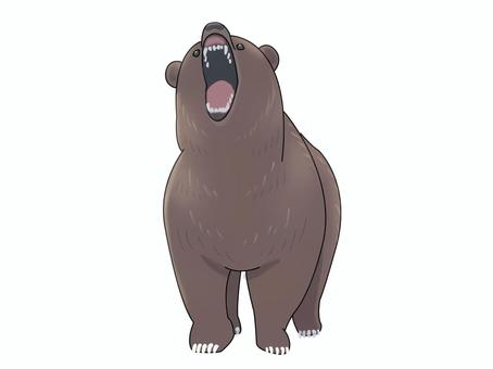 ヒグマ（威嚇） ヒグマ,クマ,動物,茶色,威嚇のイラスト素材
