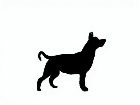犬。。 犬,シルエット,動物,背景透過,黒犬,素材,ペット,哺乳類,アイコン,影絵のイラスト素材