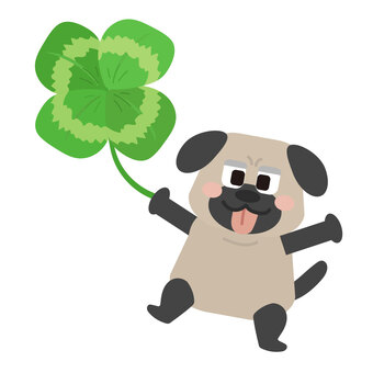 四つ葉のクローバーとパグ クローバー,四つ葉,パグ,犬,犬種,生き物,動物,葉,植物,緑のイラスト素材