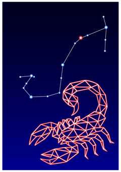 星座ラインアート　蠍座 蠍,さそり,星座,神話,昆虫,お洒落,芸術,全身,カラフル,ラインアートのイラスト素材