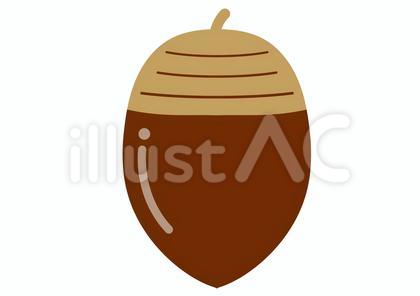 1_イラスト_ドングリ