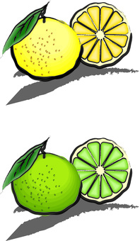 Yuzu Yuzu Citrus Fruit Hand-painted, yuzu, grapefruit, citrus, JPG, PNG and AI