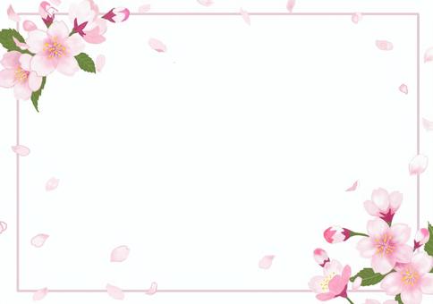 Simple cherry blossom frame, JPG, PNG and AI Simple cherry blossom frame, cherry blossoms, cherry blossoms, flower, JPG, PNG and AI