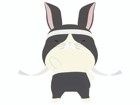 応援_兎 応援,うさぎ,ダッチ,動物,かわいい,鉢巻のイラスト素材