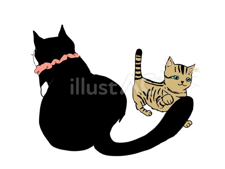 尻尾で遊ぶのだ ネコ,子猫,白黒のイラスト素材