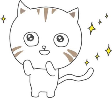 ねこきらきら ねこきらきら ねこ,きらきら,輝くのイラスト素材