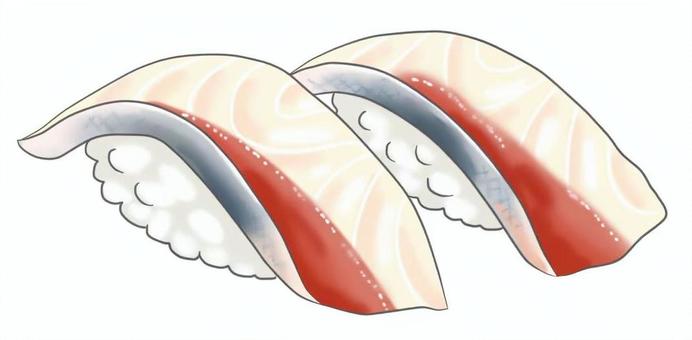 寿司ネタのイラスト　カンパチ カンパチ,寿司,握り,食べ物,料理,献立,メニュー,和食,魚,海産物のイラスト素材